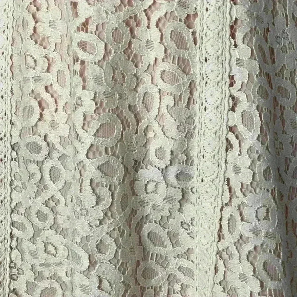 Ann Taylor Cream Lace Sleeveless Light Pink Underlay Lining Sleeveless Dress 10 - Picture 5 of 7